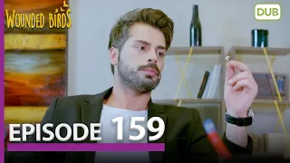 Wounded Birds Episode 159 - Urdu Dubbed | Turkish Drama