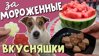 ЗАМОРОЖЕННЫЕ ВКУСНЯШКИ для СОБАК своими руками🐶🍓🍉🍏4 простых рецепта лакомств/ DIY FROZEN DOG TREATS/