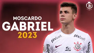 Gabriel Moscardo 2023 - The Future Of Brazil | HD