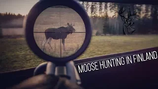 NH: Moose Hunting | 2017