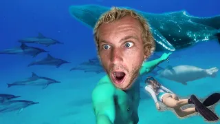 (Compilation) Reacting to My Craziest Animal Moments in the Ocean