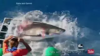 Shark Breaks Through Underwater Cage [CAUGHT ON TAPE]