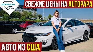 Какие цены на авто в Грузии. Обзор цен на авторынке Autopapa.