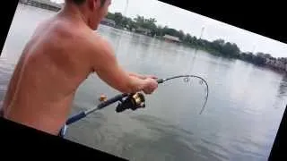 Fishing Video !!! Giant Mekong Catfish !!! Barramundi Fishing Thailand - BKKGUY