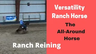 Versatility Ranch Horse Ranch Reining | Ranch Reining Competition (How Reining Maneuvers Are Scored}