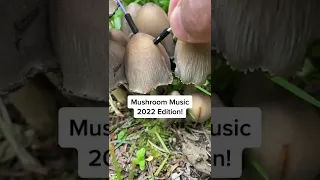 Modern Biology - Mushroom Music 2022 Edition  🍄✨🍄 myco transmissions #music #shorts #synth #mushroom