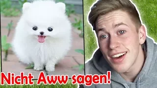 TRY NOT To Say Aww! [VERY CUTE animals] (IMPOSSIBLE CHALLENGE)