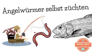 Angelwürmer selber züchten | Wurmzucht selber bauen