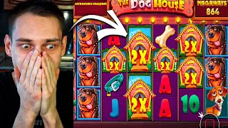 🟢 НЕРЕАЛЬНЫЙ ALL IN в DOG HOUSE - х500 ЗАНОС В СОБАКАХ? | Dog House Megaways | Заносы Недели