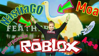 Cемья птиц роблокс птица моа симулятор птицы обзор птички feather family roblox simulator bird moa