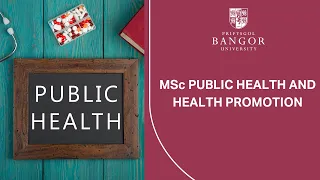 MSc Public Health and Health Promotion