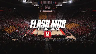 Maryland Students Flash Mob I (2013)