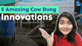 Paint Made from Cow Dung? || Green Technology || Bio Energy || Renewable Resources