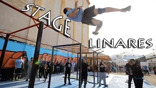Stage Linares 2016 | Street Workout