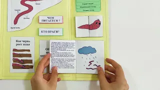 Лэпбук «Дождевой червь» — lapbook.ru