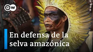 La Amazonía en peligro: los pueblos originarios y su lucha por la selva | DW Documental