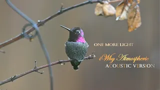 Julia Westlin - One More Light(iWhy Atmospheric Acoustic Version)
