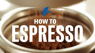 How to Brew Espresso