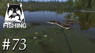 Russian Fishing 4 #73 | Ein neuer, alter Aal Spot an der Alten Festung | Deutsch / German