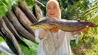 HASIL MANCING DAPAT BANYAKKK IKAN TERUS KITA MASAK MENU LEGEND INI ‼️