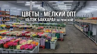 Купить цветы, мелкий опт Москва. Магазин цветов «Блэк Баккара» на Рижской
