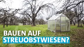 Schwarzbauten auf Streuobstwiesen | SWR Zur Sache! Baden-Württemberg