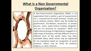 What is Non Government Organization NGO