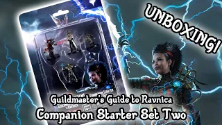 Ravnica Companions Starter Set II