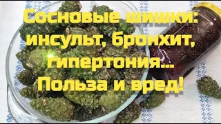 Сосновые шишки - полезная настойка на водке! Сироп из сосновых шишек. Средство от кашля и простуды.