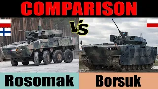 Borsuk vs Rosomak: comparison