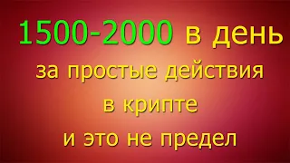 Легкие деньги в крипте: 1500-2000 рублей в день за простые действия, и это не предел | STEPN