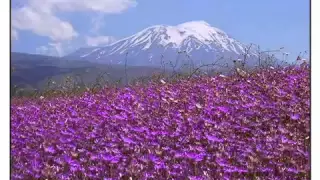 Anatolian Armenian Folk Music  Yar Ko Parag