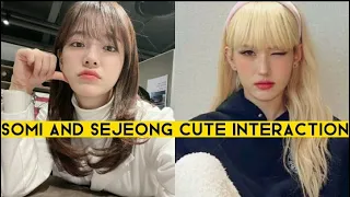 SOMI PHONE CALL WITH SEJEONG!!