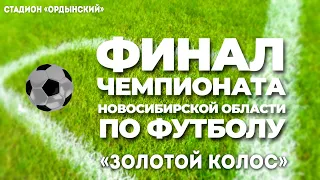 Футбол: «Золотой Колос» – финал Чемпионата Новосибирской области
