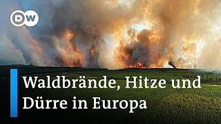 Tausende Tote durch Europas extreme Hitzewelle? | DW Nachrichten