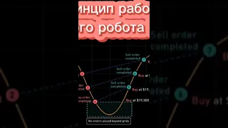 Как работает торговый робот Hash7?