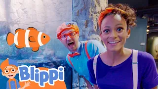Blippi Night at the Aquarium! | Learn Sea Animals for Kids | Fun and Educational Videos for Kids