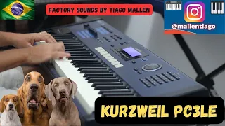 KURZWEIL PC3LE (FACTORY SOUNDS) by TIAGO MALLEN - (Este Teclado esta a venda,CONTATO NA DESCRIÇÃO)