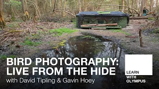 Live from the Hide with David Tipling & Gavin Hoey