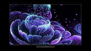 tcl65c835  краткий пробный смотр