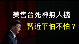 美國將賣台灣七種武器，其中一種為習近平“定制”！ （一平快評163，2020/9/18）