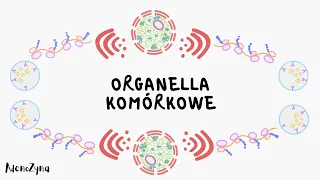 Organella komórkowe