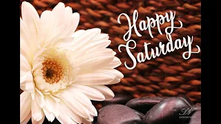 Happy Saturday Good Morning Video - Happy Saturday Whats App Status