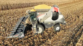 Gleaner Combine vs 270 bushel corn | Best of the Year