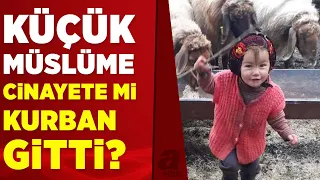 Küçük Müslüme öldü mü yoksa öldürüldü mü? Türkiye'yi yasa boğan olayda yeni gelişmeler! | A Haber