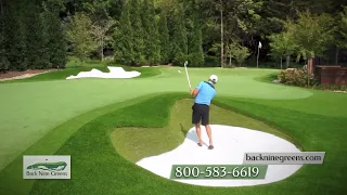 Practice Golf in Your Backyard by Installing a Back Nine Greens Artificial Grass Putting Green.