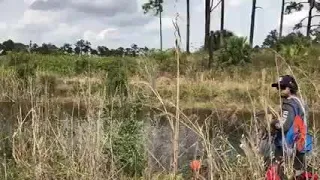 Human remains found in gator-infested canal of Martin County nature preserve