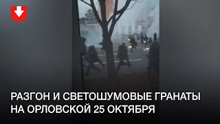 Разгон и светошумовые гранаты на Орловской 25 октября