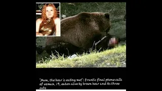 #bearattack Russian Teen Girl Attacked & Eaten Alive By Bears GRAPHIC| Final Call To Mom (full audio