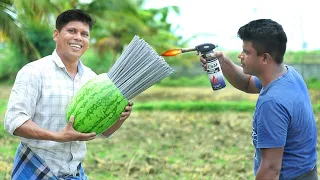 500 Sparklers Vs Watermelon | 500 കമ്പിത്തിരി തണ്ണിമത്തനിൽ ഇട്ട് കത്തിച്ചപ്പോൾ.